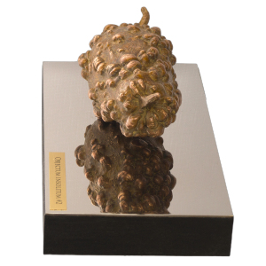 Author's bronze sculpture "Unidentified object #2"